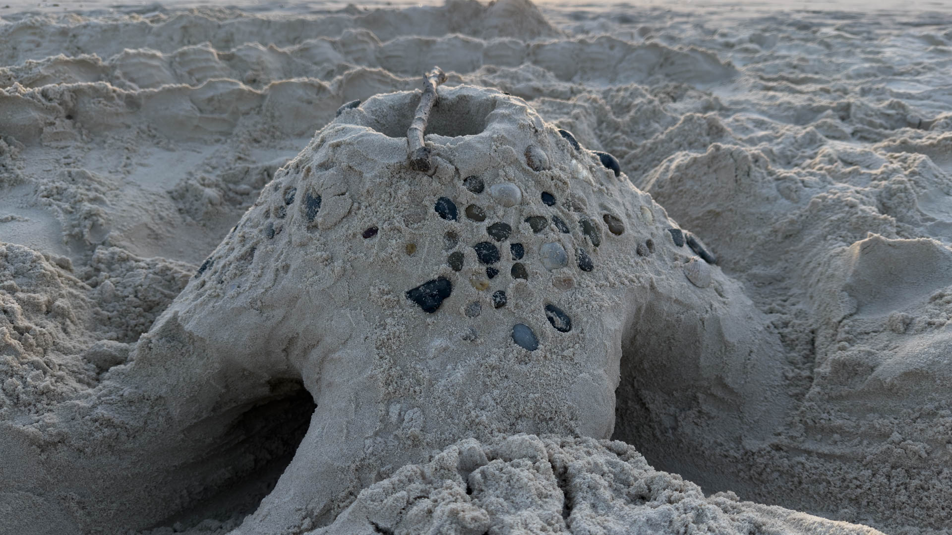 A sandcastle on the open flats at Currumbin at low tide.